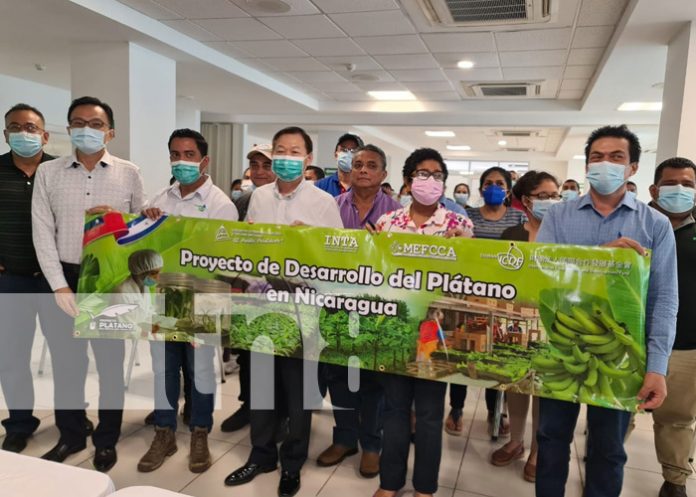 Nicaragua fortalece proyecto para tratamiento de producción de plátano