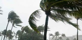 Huracán "Grace" y tormenta "Henri" causarán estragos en México y EE.UU