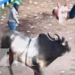 Hombre resulta herido por toro en Chontales