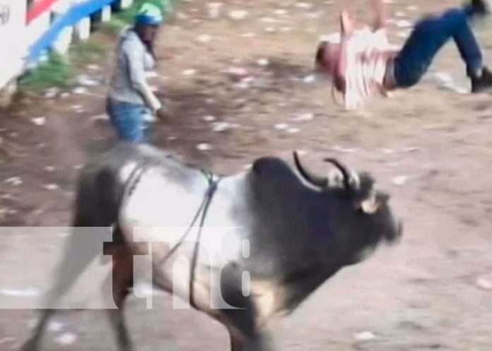 Hombre resulta herido por toro en Chontales