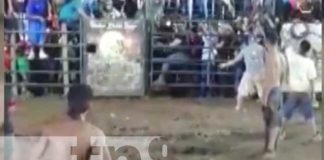 Sorteador de toro en Granada termina gravemente herido