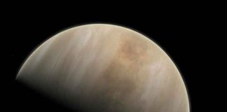 Increible: Sonda Solar Orbiter grabó el acercamiento a Venus