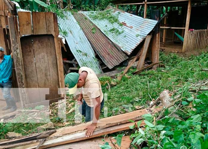 Árbol cae sobre dos viviendas debido a las lluvias y los fuertes vientos en Matiguás