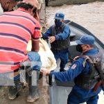 Distrito Naval Caribe regreso a cuatro tortugas a su hábitat natural