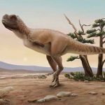 Paleontólogos encuentran nueva especie de dinosaurio carnívoro en Brasil