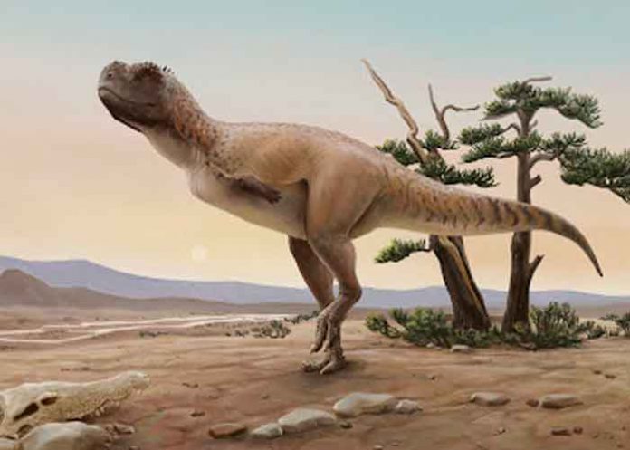 Paleontólogos encuentran nueva especie de dinosaurio carnívoro en Brasil