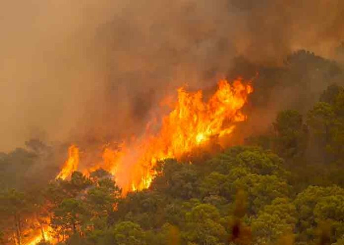 Un bombero muerto y 800 evacuados por incendio en sur de España