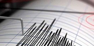 Sismo de magnitud 5.6 sacude las costas del Pacífico mexicano