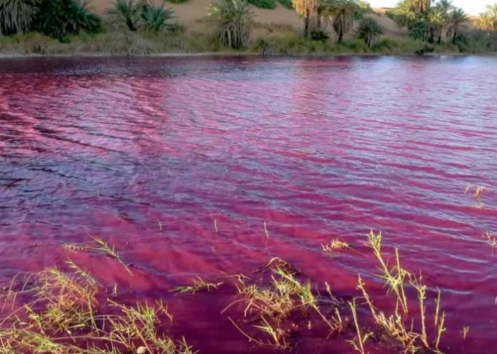 Cómo en la plagas de Egipto un río se vuelve color 'sangre' en Jordania