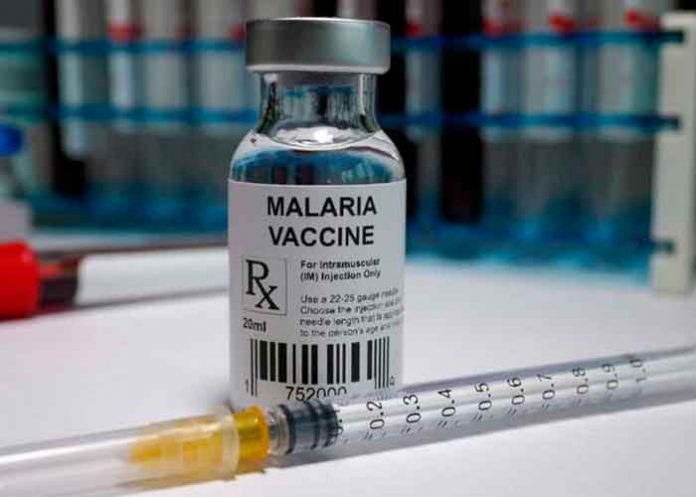 OMS recomienda extender el uso de vacuna contra la malaria en África