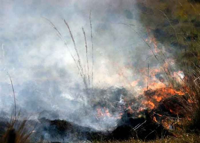 Incendios forestales arrasan miles de hectáreas en Argentina