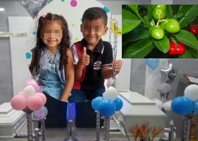 Dos hermanitos mueren envenenados al comer fruta del jardín de sus padres