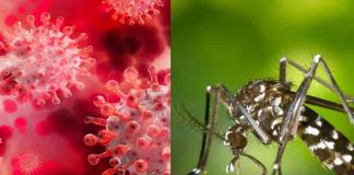 Declaran alerta roja en Cartagena, Colombia por aumento en casos de dengue