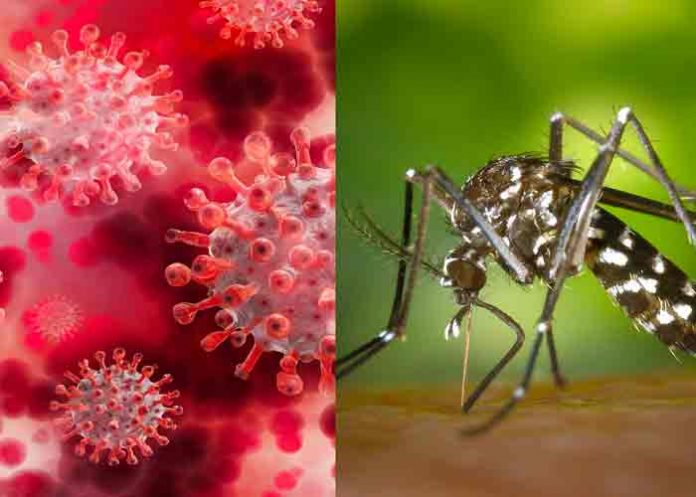 Declaran alerta roja en Cartagena, Colombia por aumento en casos de dengue