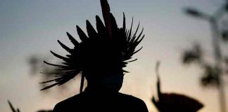 Informe revela récord de asesinatos de indígenas en Brasil