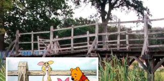 Subastan en Reino Unido el famoso puente de "Winnie the Pooh"