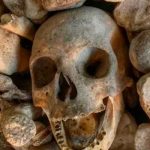 Tiktoker desata polémica por vender huesos humanos incluidos cráneos de fetos