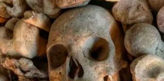 Foto: Cráneo encontrado en China tiene linaje humano desconocido, segùn un estudio publicado en el Journal of Human Evolution / Cortesìa.