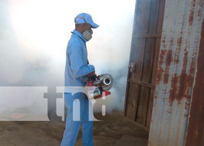 Fumigan y abatizan viviendas de Villa Reconciliación para liminar el zancudo
