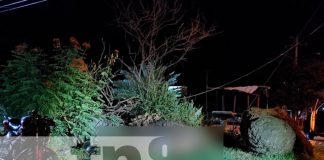 Hombre muere tras estrellarse contra enorme piedra en Managua