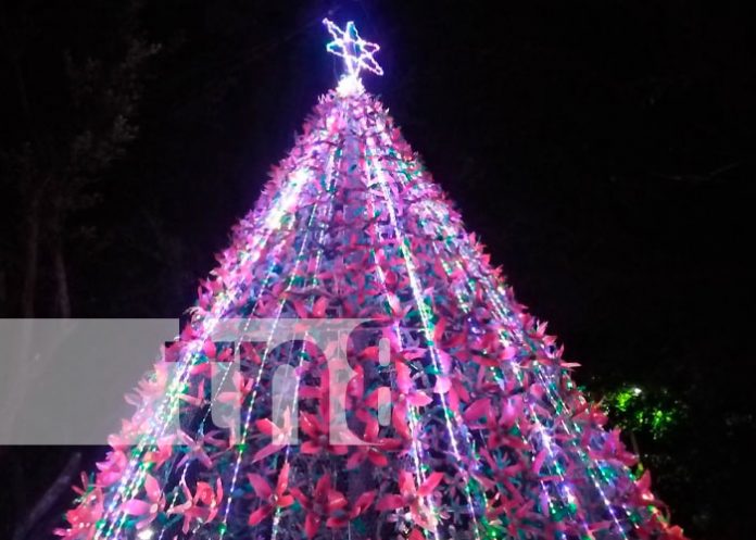 Elaboran el árbol navideño más grande de material reciclable en Bluefields