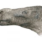 Descubren nueva especie de dinosaurio con una nariz desproporcionada