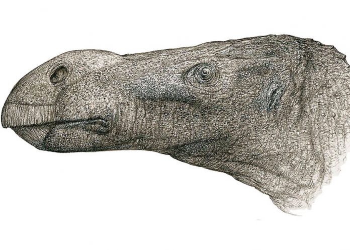 Descubren nueva especie de dinosaurio con una nariz desproporcionada