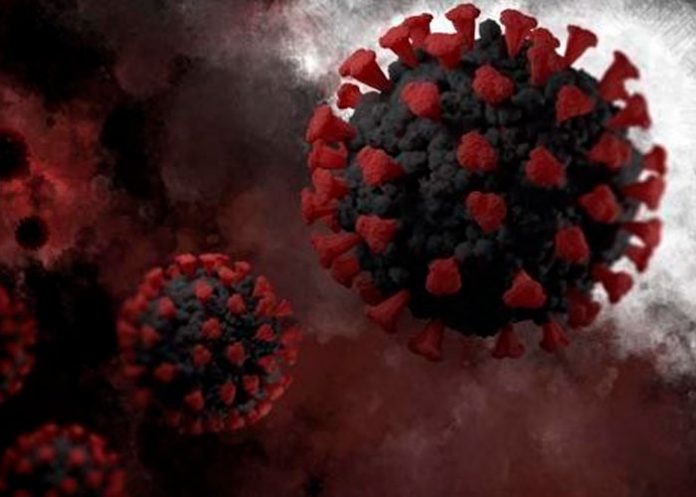 ¿Cómo es la nueva y peligrosa variante del coronavirus detectada por Sudáfrica?