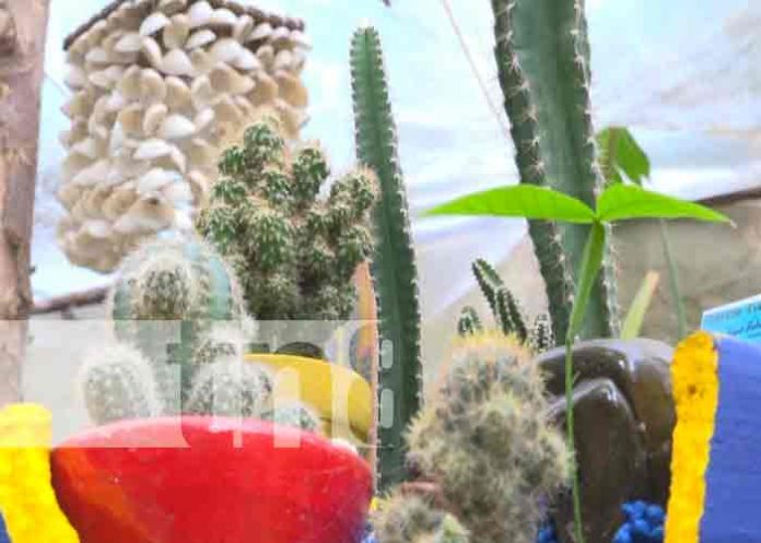 Cactus Los Pitirrines presente en Nicaragua Emprende