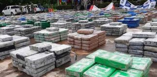 La mayor banda criminal de Colombia saca 20 toneladas de coca a 28 países