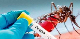 Alarmante aumento de casos de Dengue en 5 departamentos de Honduras