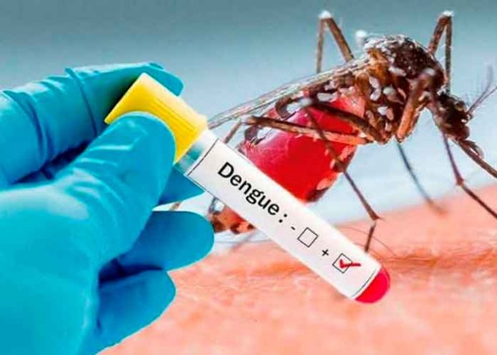 Alarmante aumento de casos de Dengue en 5 departamentos de Honduras