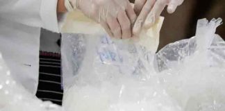 Incautan en Bulgaria un cargamento de metanfetamina desde México