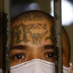 Condenan por asesinato a líderes de la pandilla salvadoreña MS-13 en EEUU
