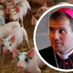 Obispo que colgó la sotana por amor, ahora vende semen de cerdo