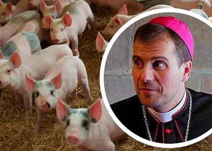 Obispo que colgó la sotana por amor, ahora vende semen de cerdo