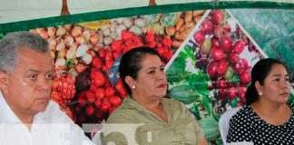 Nicaragua: Sistema de Producción en Siuna
