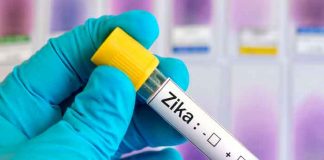 Se registra un brote del virus del Zika en la India con casi 100 casos