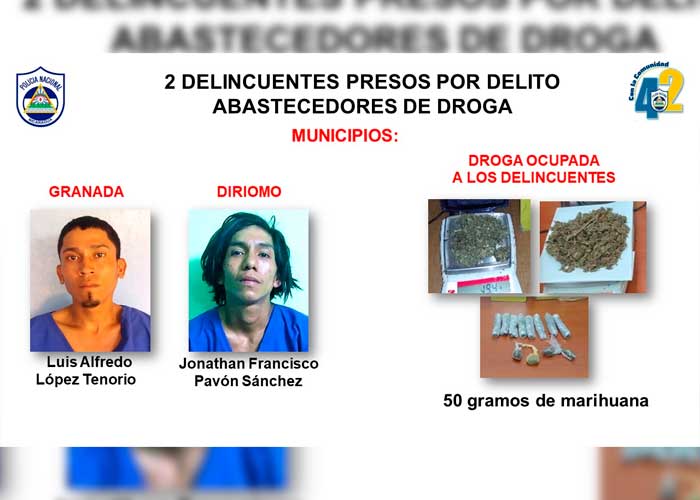 Detienen a 9 sujetos por varios delitos en Granada