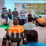 Nicaragua: Productores arroceros participaron de un encuentro nacional con el INTA