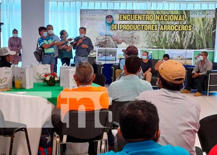 Nicaragua: Productores arroceros participaron de un encuentro nacional con el INTA
