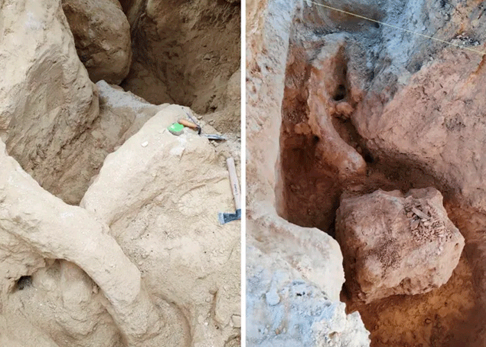 Encuentran restos de un mamut de hace más de 10.000 años en México