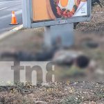 Chocó contra la cuneta: sujeto muere frente a la Aduana, Carretera Norte