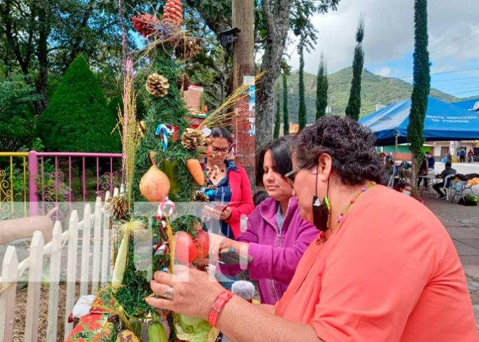 Promueven creatividad con bonitos arbolitos navideños en Jinotega