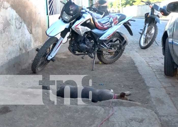 Imprudencia vehicular deja a un niño seriamente lesionado en Managua