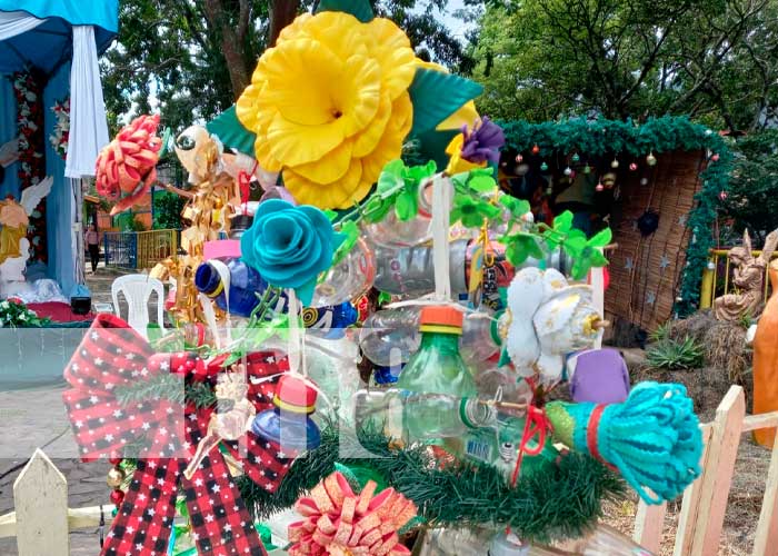 Promueven creatividad con bonitos arbolitos navideños en Jinotega