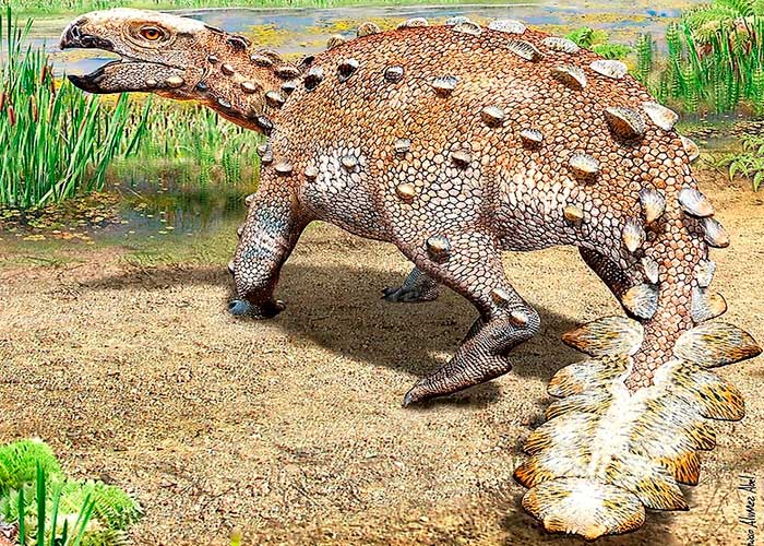 El "Stegouros", la nueva especie de dinosaurio descubierta en Chile 