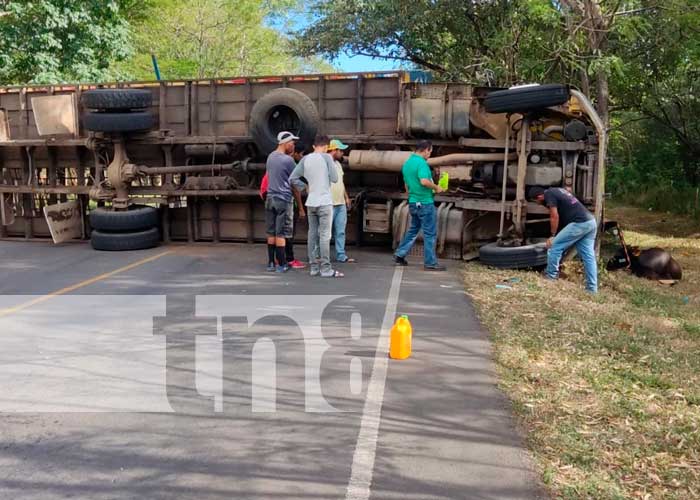Camión cargado de ganado se vuelca en Juigalpa, Chontales