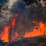Trabajo arduo para contener incendios forestales en Chile