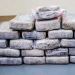 Hallan cocaína en los Cayos de Florida valorada en un millón de dólares